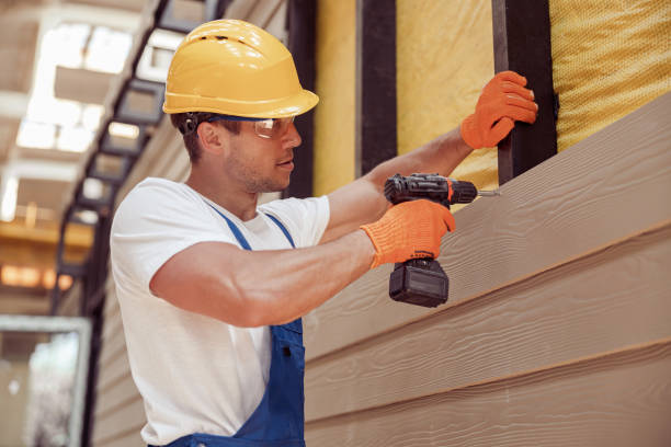 Best Custom Trim and Detailing for Siding  in Cornville, AZ